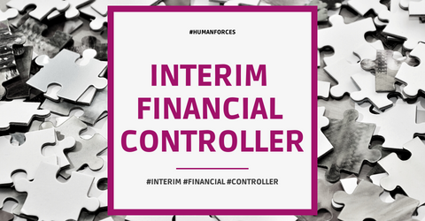 Lees meer over het artikel Interim Financial Controller, 4 maanden, 3 a 4 dpw